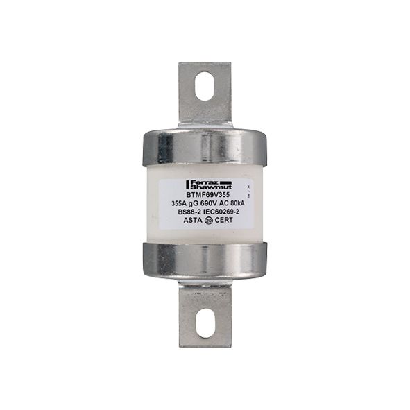L1006628 - Central Bolted Tag fuse-links gG 690VAC/460VDC 355A